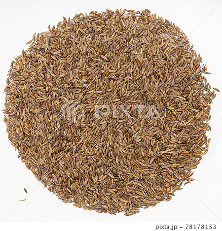 pile of caraway seeds on gray ceramic plate 78178153