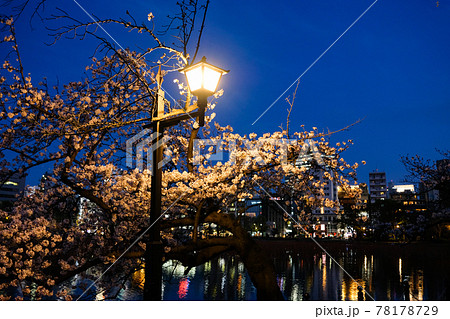 東京都台東区 上野公園、不忍池の夜桜 東京都台東区 上野公園、不忍池の夜桜 78178729