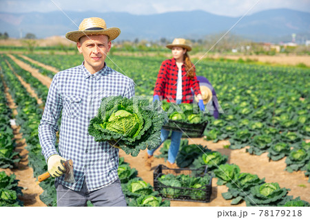 Portrait of successful male farmer on field Portrait of successful male farmer on field 78179218