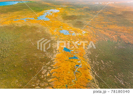 Miory District, Vitebsk Region, Belarus. The Yelnya Swamp. Upland And Transitional Bogs With Numerous Lakes. Elevated Aerial View Of Yelnya Nature Reserve Landscape. Famous Natural Landmark 78180340