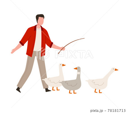 Man Farmer with Whip Punching Geese Vector Illustration 78181713