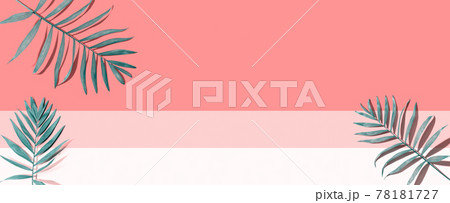 Tropical palm leaves from above 78181727