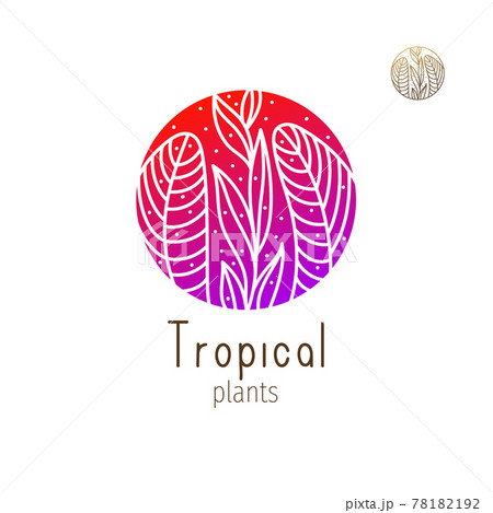 Tropical jungle logo Tropical jungle logo 78182192