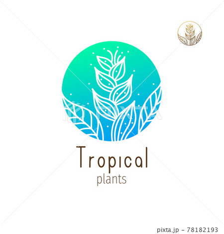 Tropical jungle logo 78182193