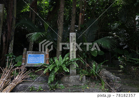 米原のヤエヤマヤシ群落看板 米原のヤエヤマヤシ群落看板 78182357