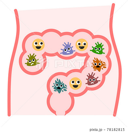 悪玉菌と善玉菌が居る腸内環境のイラスト 78182815