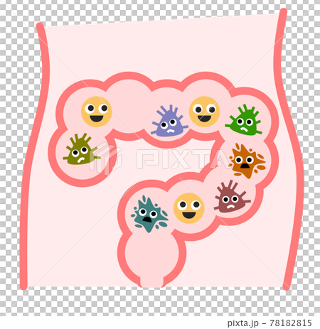 腸道環境與壞細菌和好細菌的插圖 78182815