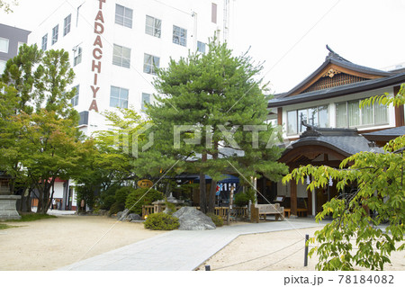 長野県松本市 四柱神社 縁結びの松 長野県松本市 四柱神社 縁結びの松 78184082
