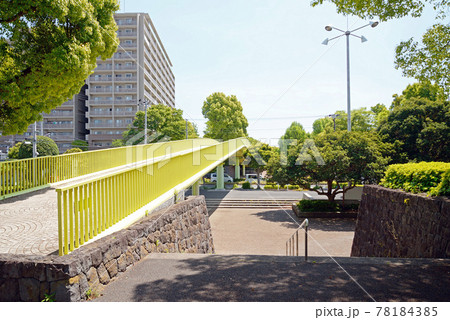 新緑の、千葉県船橋市、県立行田公園、歩道橋 78184385