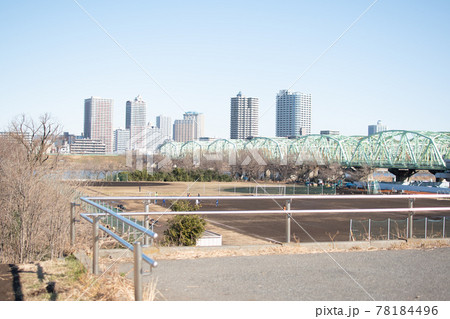 荒川の土手/東京都北区赤羽北 荒川の土手/東京都北区赤羽北 78184496