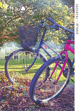自転車のある風景 陽のあたる公園 自転車のある風景 陽のあたる公園 78185095