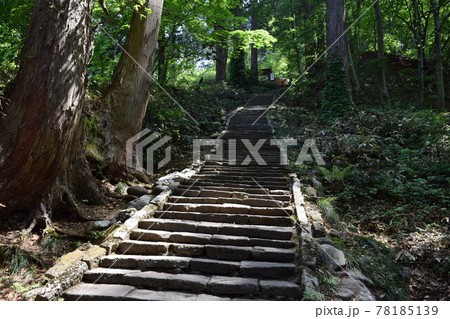 羽黒山の石段 2446段は神社で日本一 78185139