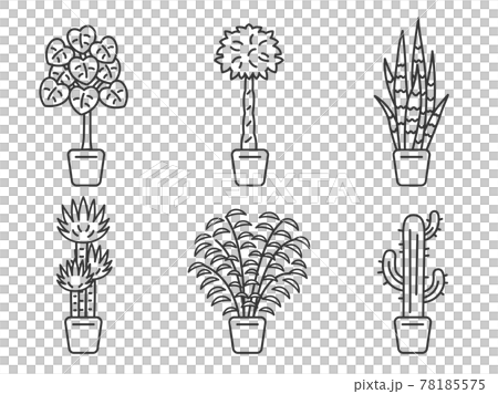 Illustration set of foliage plants 78185575
