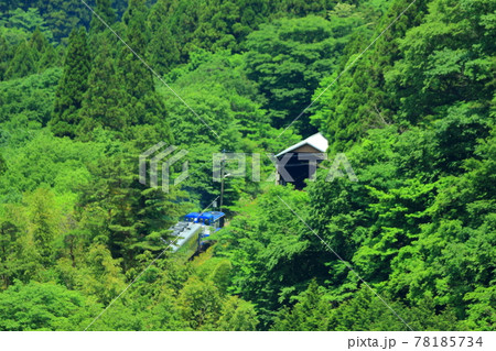 奥出雲おろち号 奥出雲おろち号 78185734