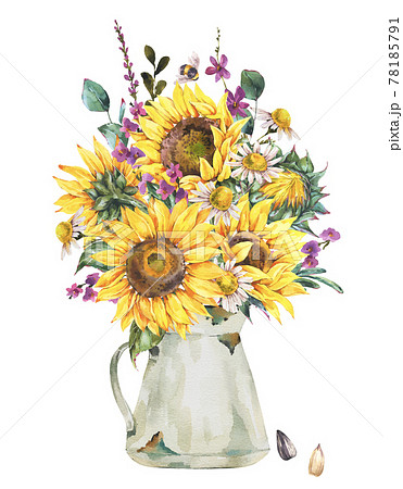 Watercolor Rustic Farmhouse Sunflower Stock Illustration