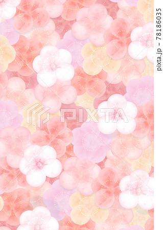 淡く柔らかな梅の花模様の背景　縦 78186035