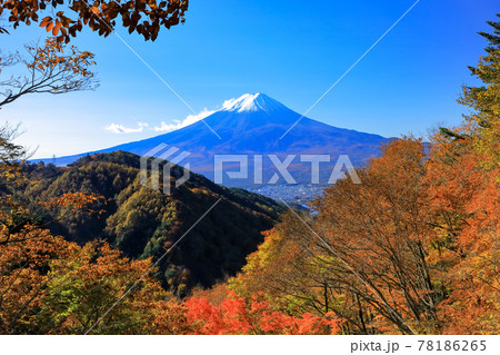 紅葉の御坂峠天下茶屋からの富士山展望 78186265
