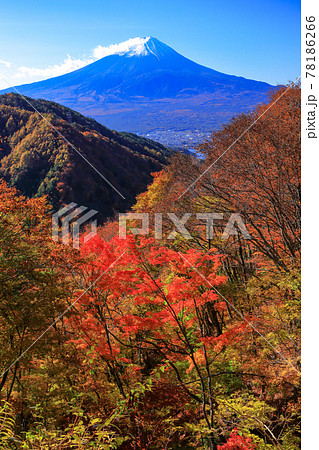 紅葉の御坂峠天下茶屋からの富士山展望 紅葉の御坂峠天下茶屋からの富士山展望 78186266