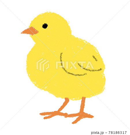 Chick Chick Illustration Hand Painted Crayon Stock Illustration