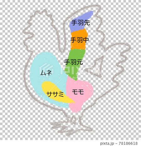 鶏肉部位　鶏　部位　イラスト　手描き　クレヨン 78186618