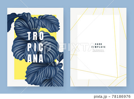 Tropical plant invitation card template design, dark blue Calathea orbifolia plant on yellow Tropical plant invitation card template design, dark blue Calathea orbifolia plant on yellow 78186976