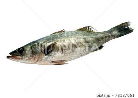 スズキ_05（パス付） 78187061