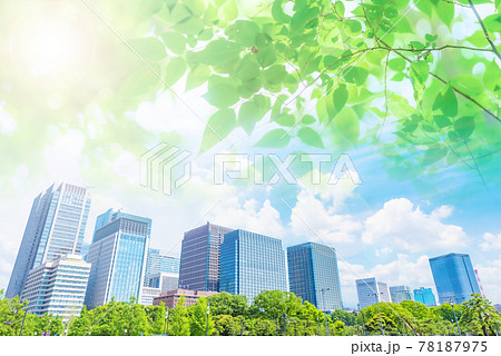 高層ビル群と若葉 高層ビル群と若葉 78187975