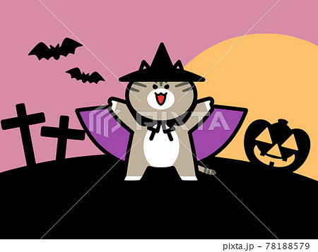 仮装したにゃんこハロウィンの背景イラスト素材 仮装したにゃんこハロウィンの背景イラスト素材 78188579