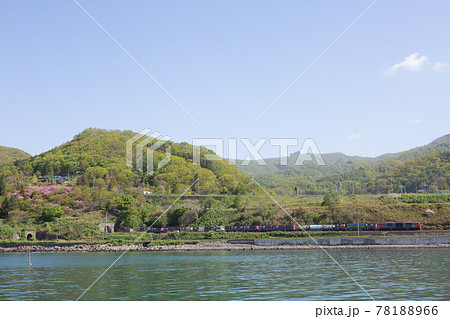 洞爺湖町大磯トンネルから抜けて来た貨物列車 室蘭本線豊浦ー洞爺駅にて 洞爺湖町大磯トンネルから抜けて来た貨物列車 室蘭本線豊浦ー洞爺駅にて 78188966