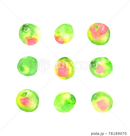 水彩で描いた梅の実のイラストのイラスト素材 水彩で描いた梅の実のイラストのイラスト素材