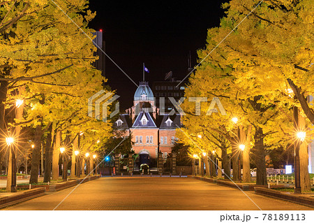 北海道庁旧本庁舎とイチョウ並木道 78189113