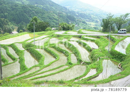 日本棚田百選に選ばれた室谷の棚田 78189779