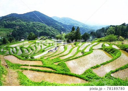 日本棚田百選に選ばれた室谷の棚田 日本棚田百選に選ばれた室谷の棚田 78189780