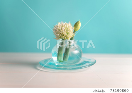 葱ぼうずと硝子器 78190860