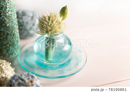 葱ぼうずと硝子器 葱ぼうずと硝子器 78190861