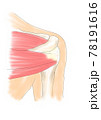 肩関節後方 78191616
