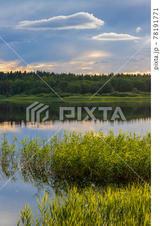 Beautiful summer landscape. View of the lake and forest. Beautiful summer landscape. View of the lake and forest. 78191771