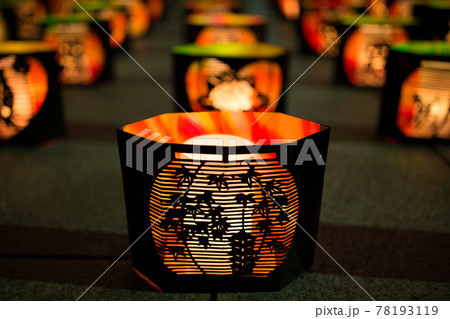 高幡不動尊もみじまつり灯路 高幡不動尊もみじまつり灯路 78193119