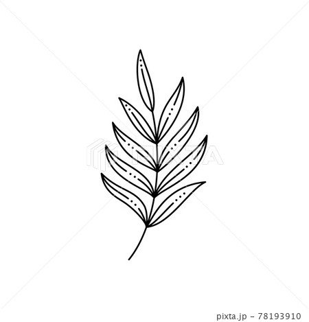 Tropical Palm leaf in a Trendy Minimalist Liner Style. Vector Illustration 78193910