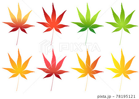 紅葉 もみじ 秋 アイコンのイラスト素材