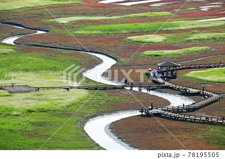 景色 風景 水路 78195505