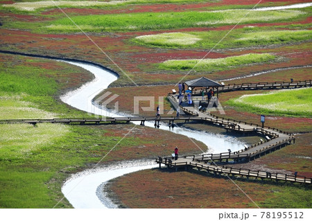 景色 風景 水路 78195512