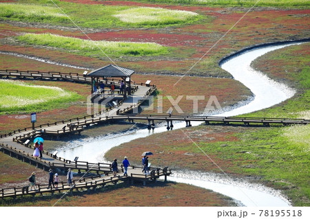 風景 水路 自然 78195518