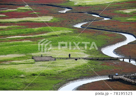 風景 水路 自然 78195525