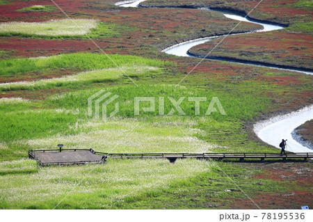 風景 水路 湿地 78195536