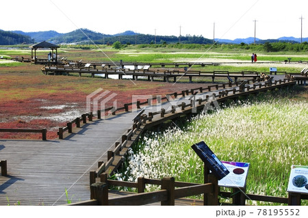 風景 水路 花 78195552