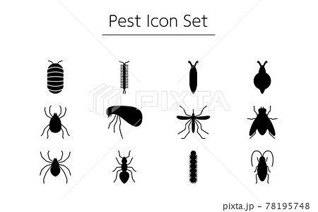 不快害虫のシンプルなアイコンセット、ゴキブリ、ダニ、蚊、ハエ、蜘蛛、他 不快害虫のシンプルなアイコンセット、ゴキブリ、ダニ、蚊、ハエ、蜘蛛、他 78195748