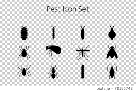 不快害虫のシンプルなアイコンセット、ゴキブリ、ダニ、蚊、ハエ、蜘蛛、他 不快害虫のシンプルなアイコンセット、ゴキブリ、ダニ、蚊、ハエ、蜘蛛、他 78195748