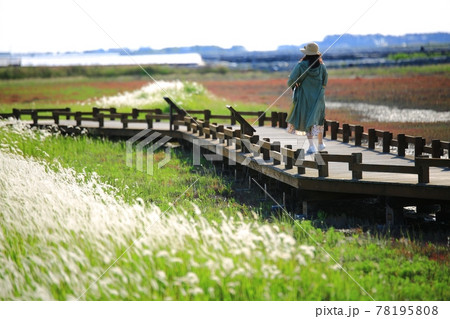 風景 水路 花 78195808