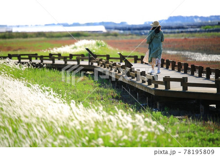 風景 水路 花 78195809